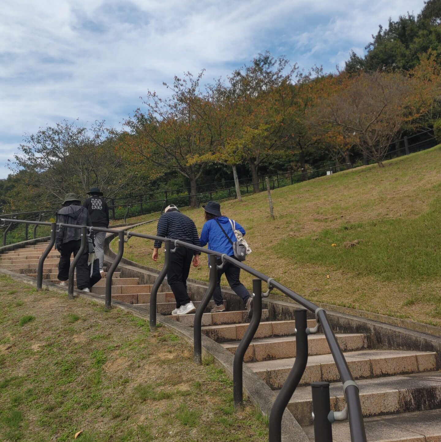 生活介護  